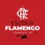 ESCOLA FLAMENGO Cidade Alta