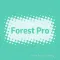 ForestPro汽車鍍膜美容-會員卡