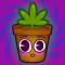 Lil Pothead