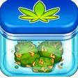 Weed Shop Tycoon