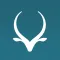 Antilope