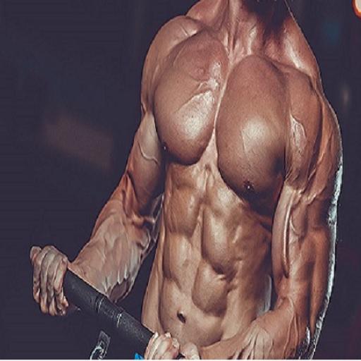 Muscle Builder Muscle Builder