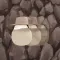 Mr escape : Dungeons - Gold legend