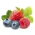 FoodStudy