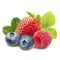 FoodStudy