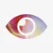 Visualize - Vision AI