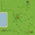Ants Life