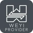 Translation Provider Translation Provider