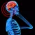 Electromagnetic Radiation Survival Guide:Solutions-Protect Yourself & Family