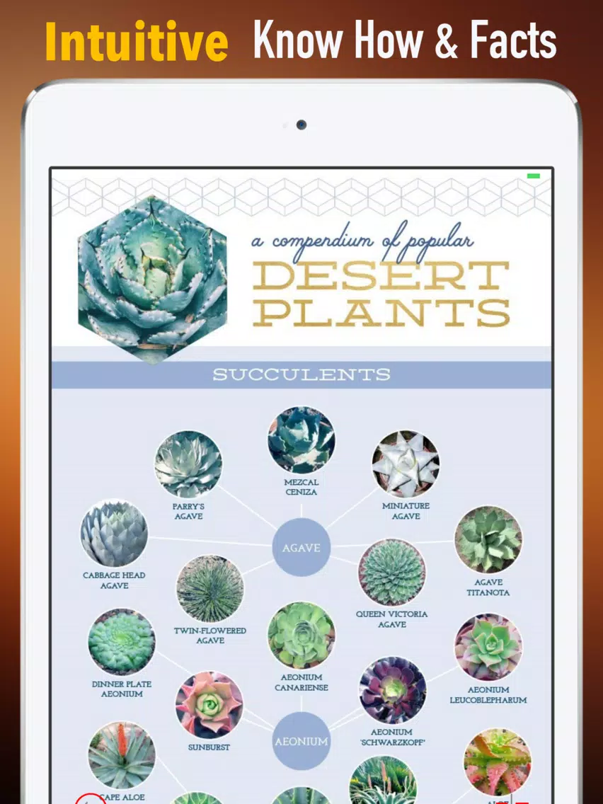 Succulents Plant for Beginners:Care Tips and Guide iPad Screenshots