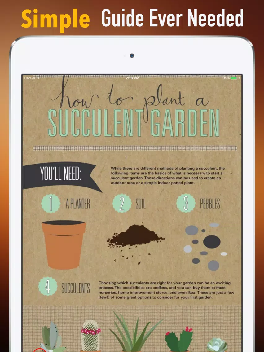 Succulents Plant for Beginners:Care Tips and Guide iPad Screenshots