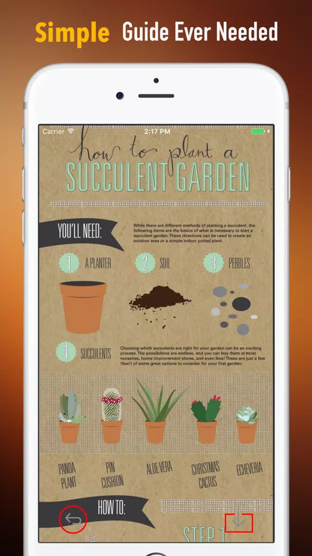 Succulents Plant for Beginners:Care Tips and Guide Screenshots