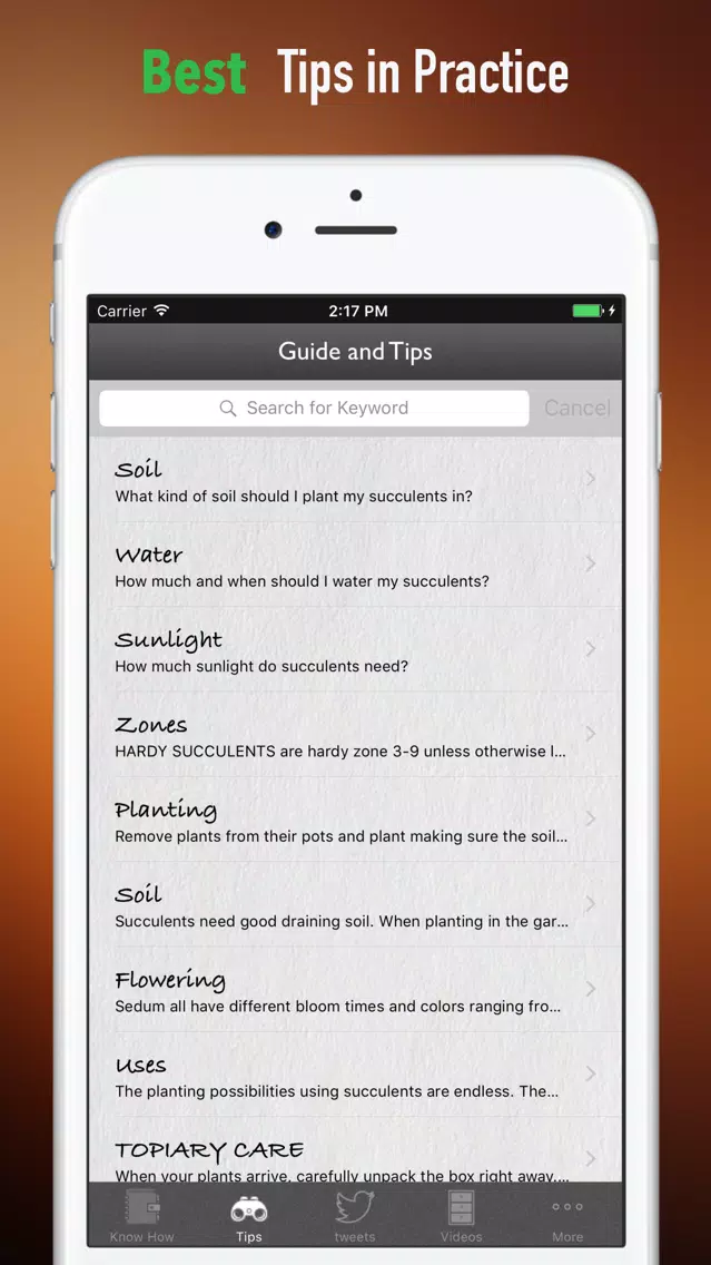 Succulents Plant for Beginners:Care Tips and Guide Screenshots