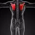 Memorize Human Anatomy Bones by Sliding Tiles Puzzle: Learning Becomes Fun