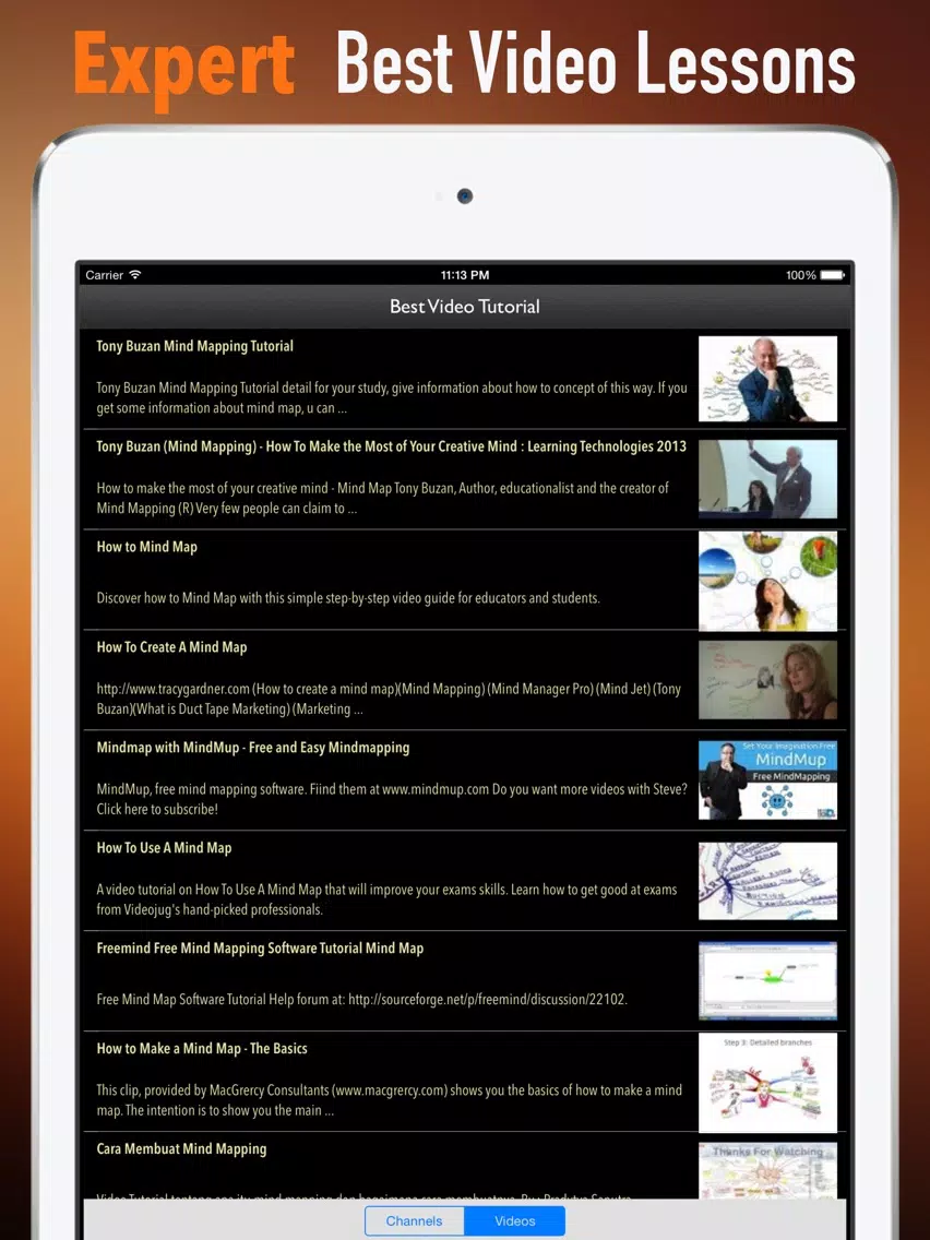 Mind Mapping 101: Tips and Tutorial iPad Screenshots