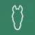 Whickr Buying & Selling Horses