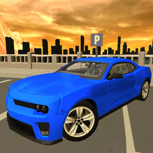 City Car Driving School City Car Driving School