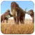 The mammoth weather widget