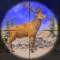 Wild Deer Animal Hunting Game