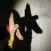 Hands Shadow Puppet