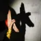 Hands Shadow Puppet
