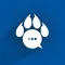 Wildcats Connect for C-SC