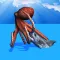 Octopus Survival Simulator