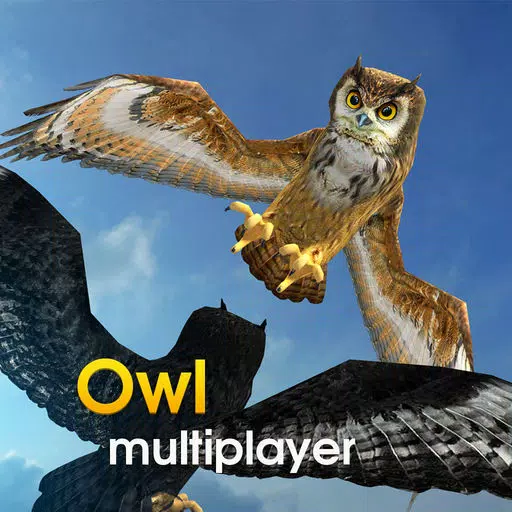 Owl Multiplayer Owl Multiplayer