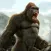 The Gorilla