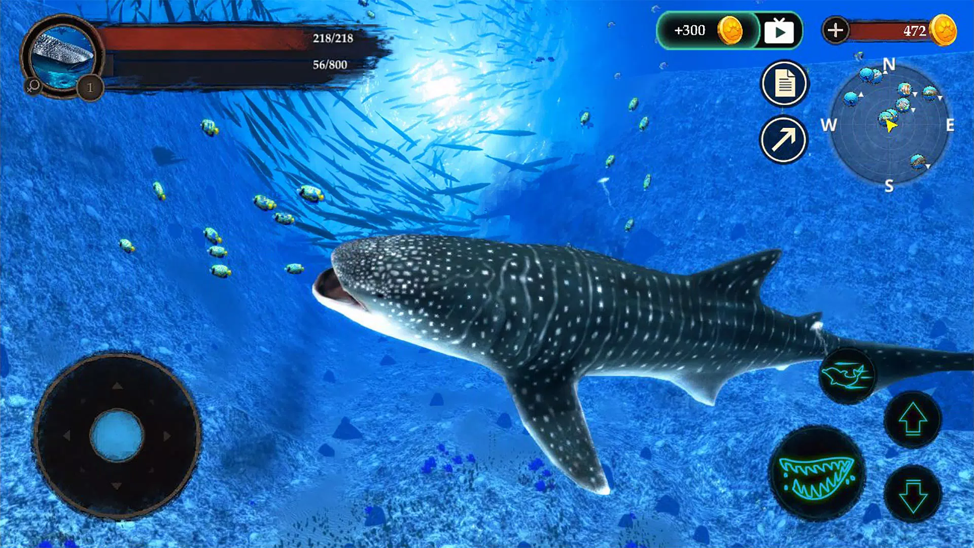 The Whale Shark Screenshots
