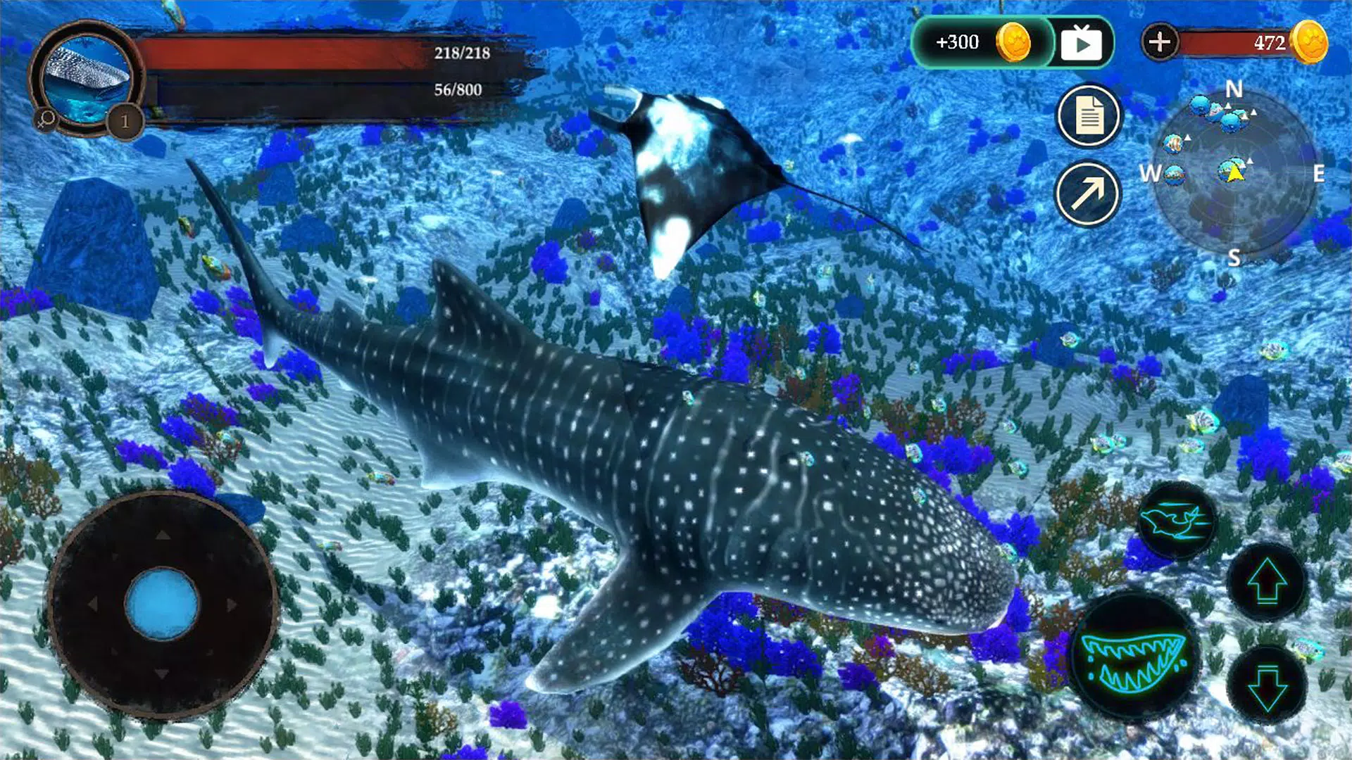 The Whale Shark Screenshots