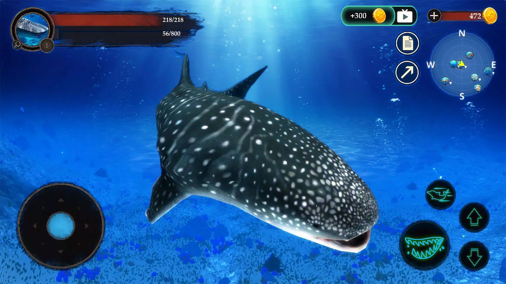 The Whale Shark Screenshots