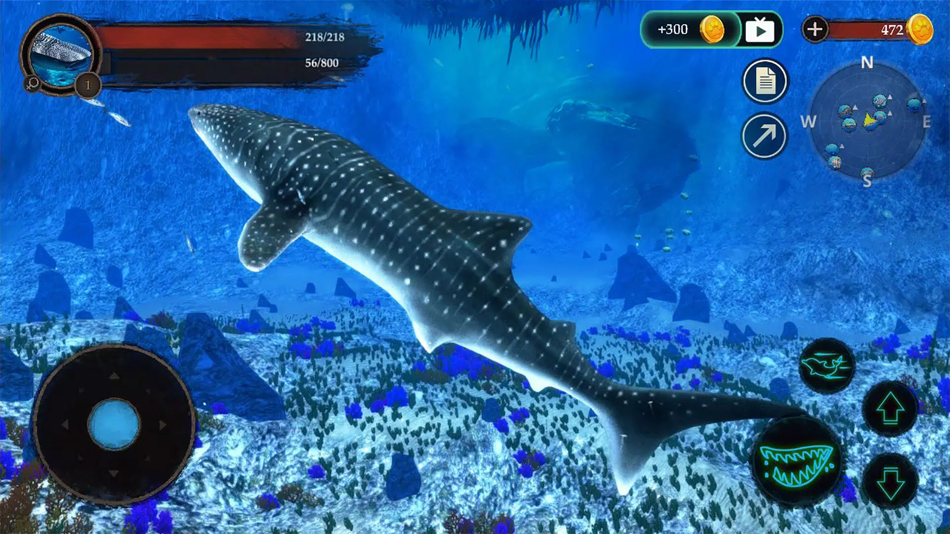 The Whale Shark Screenshots