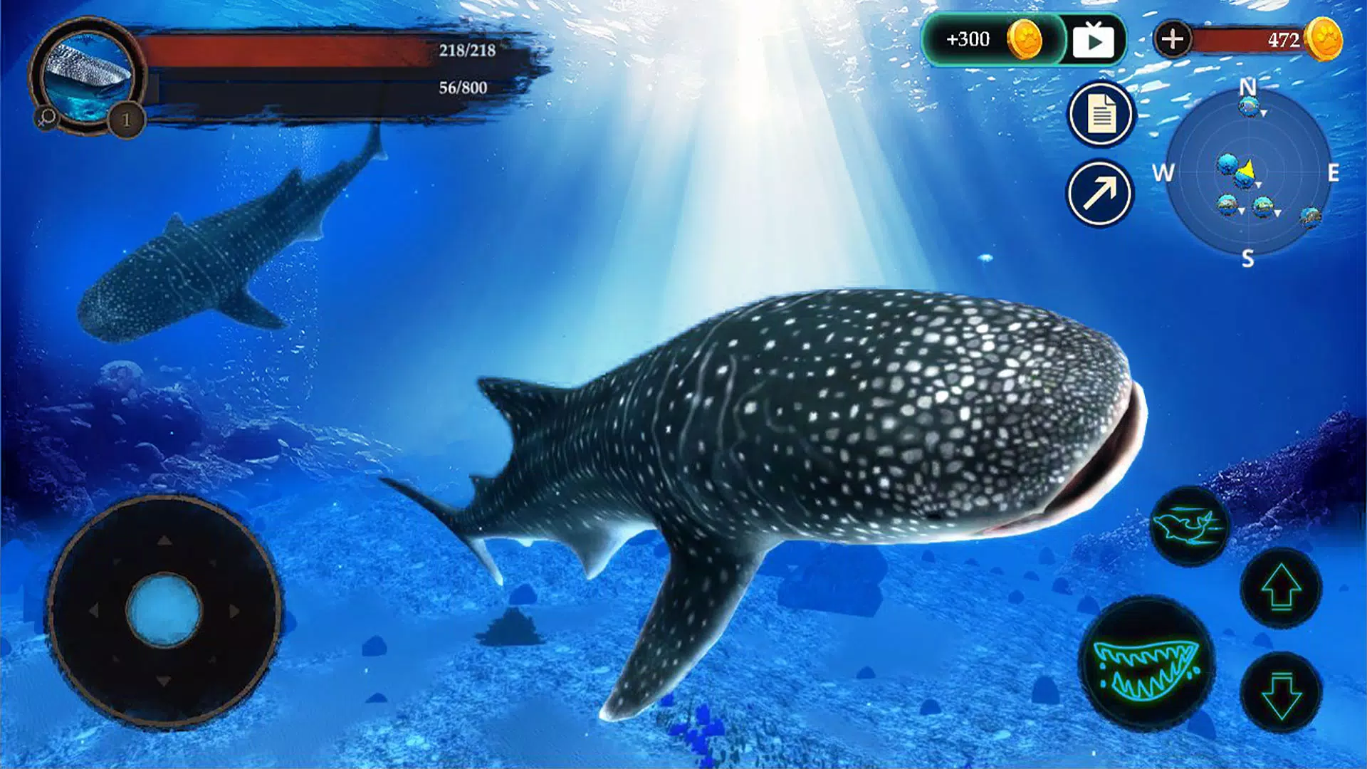 The Whale Shark Screenshots