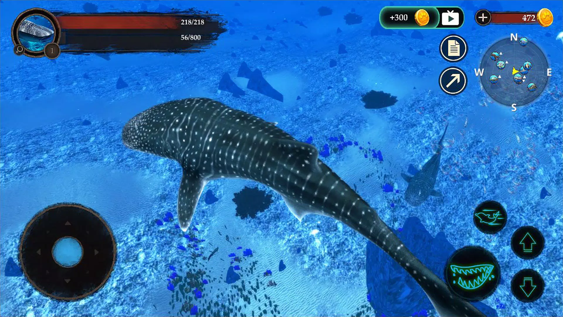 The Whale Shark Screenshots
