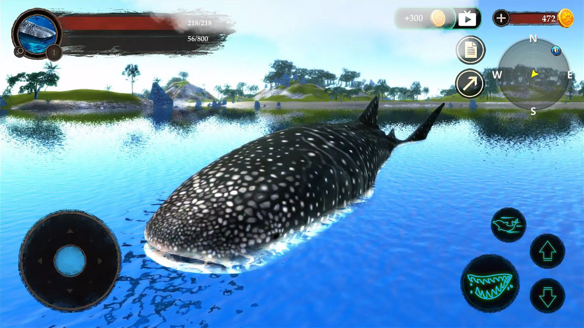 The Whale Shark Screenshots