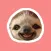Sloths
