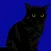 The Night Cat - Ad Supported