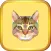 Kitten Cat Coloring Book for Kids Game Preschool