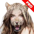 Animal Face Photo Booth Pro Animal Face Photo Booth Pro