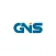 GNS (Great Nigerian Students)