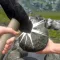 Geode Hunting