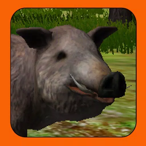 Boar Hunter Boar Hunter
