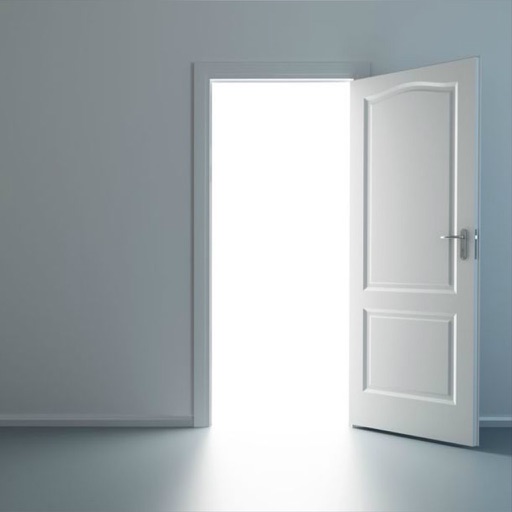 Can You Escape Empty Room? Can You Escape Empty Room?