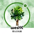 Discover Trees at WestK