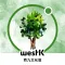 Discover Trees at WestK