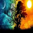 Wallpapers Online