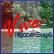 Vive Ngäbe Buglé Panamá