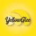 Yellow Glee