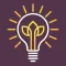 Working Mindfully